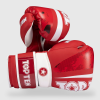 01_WAKO_NTB_Marks_1200x1200 Boxing gloves “WAKO NTB Marks”