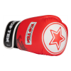 Boxing gloves “Legacy25”