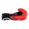 Boxing gloves “Legacy25”