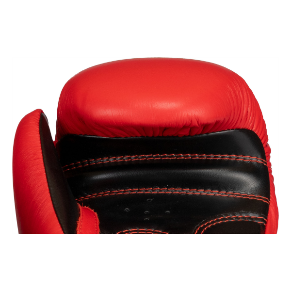 Boxing gloves “Legacy25”