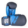 Luvas de Boxe TOP TEN “The Splitter”