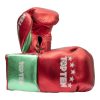 Boxing gloves “Pro MX”