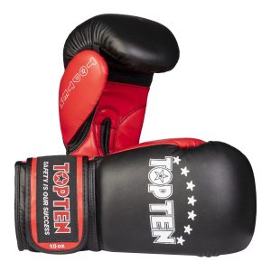 2014  Boxing Gloves “TOP TEN”