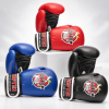 Boxing Gloves “TOP TEN KIDS”